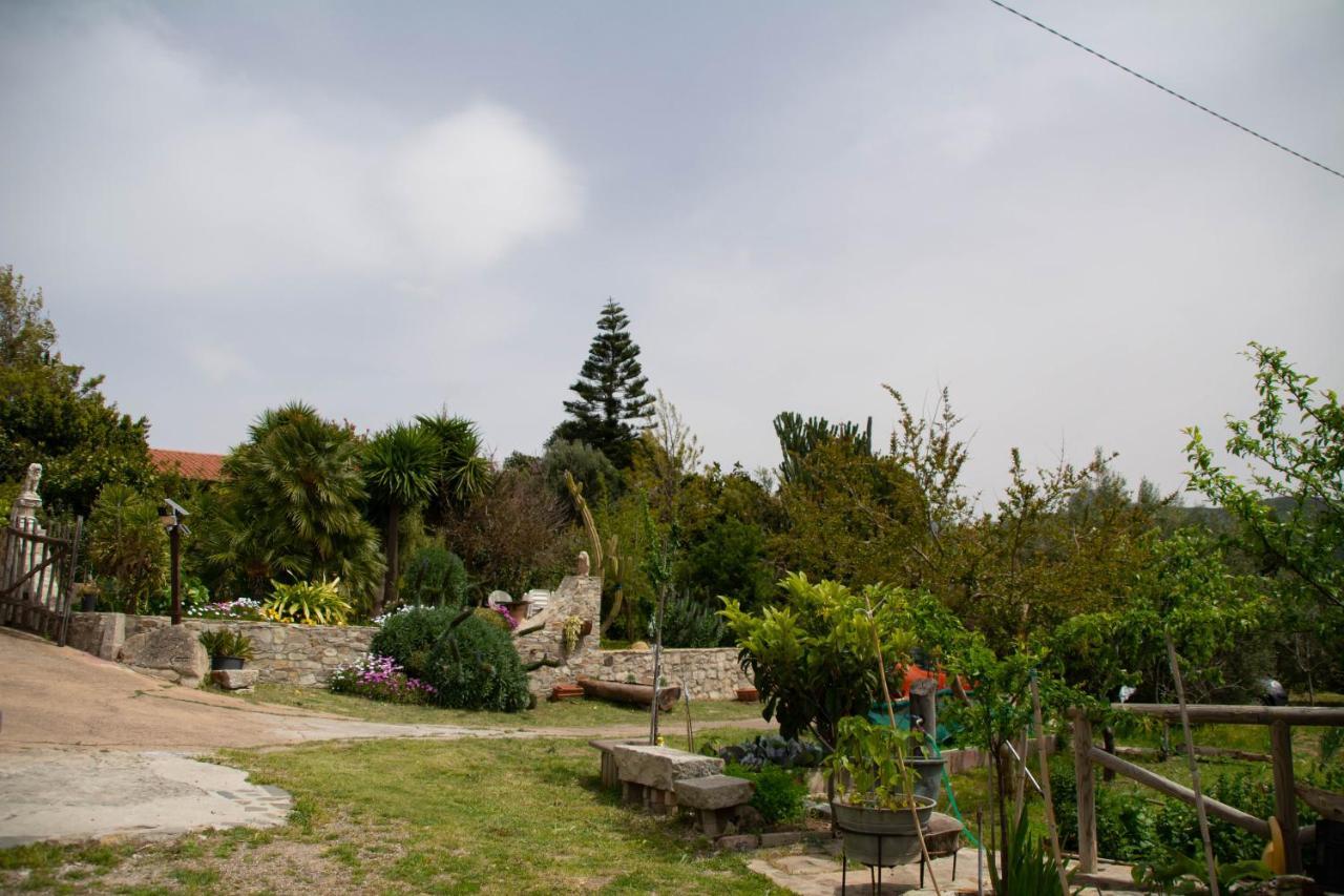 B&B Il Giardino Arbus Exteriér fotografie